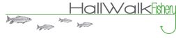Hall Walk Fishery